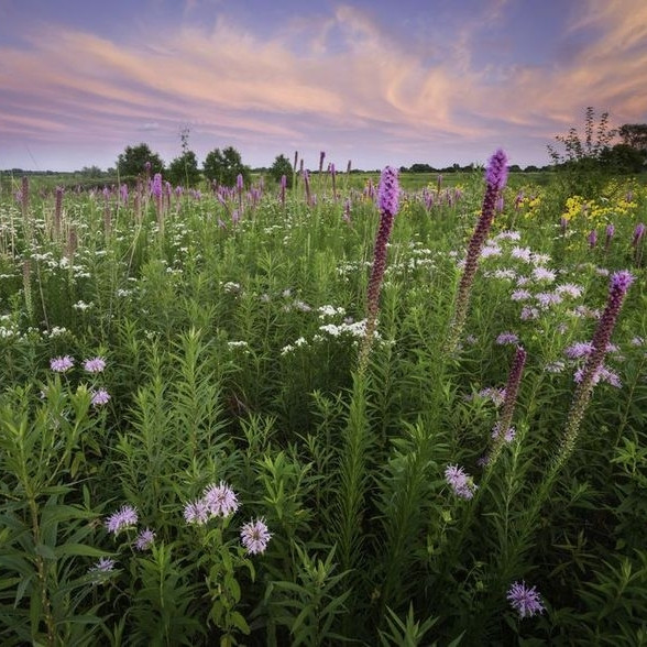 The Power of Not-Knowing:&nbsp;Lo-nayda